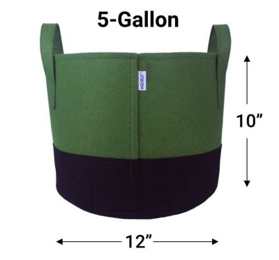 5 gallon-geen-kleur